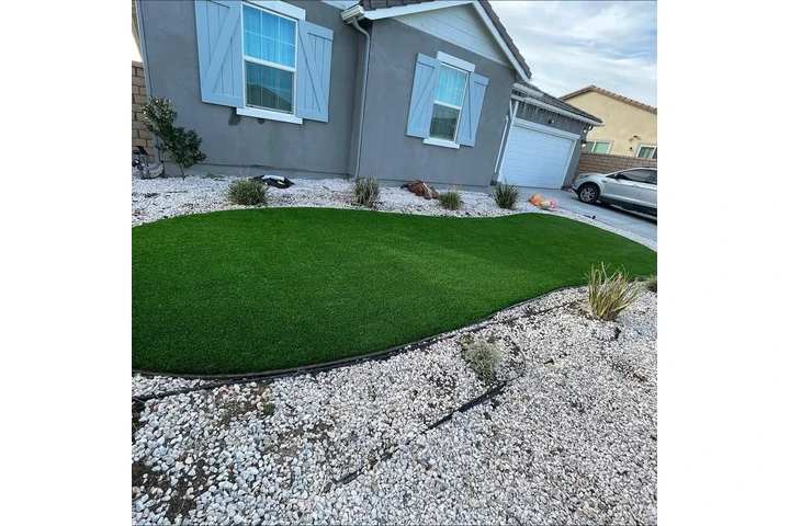 Artificial turf image 4