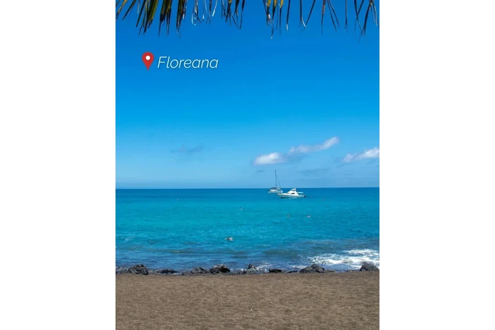 GALÁPAGOS PARA TI 🇪🇨🥰 image 7