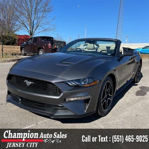 Used 2022 Mustang EcoBoost Pr image 1
