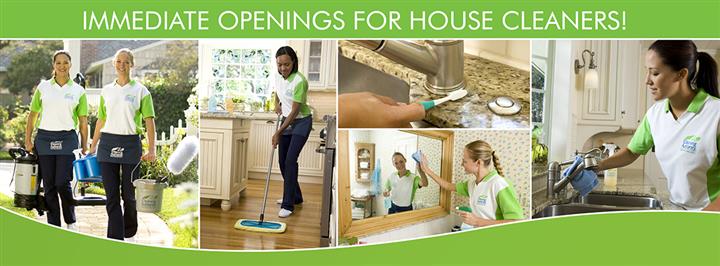 Housekeeper / House Cleaner image 1