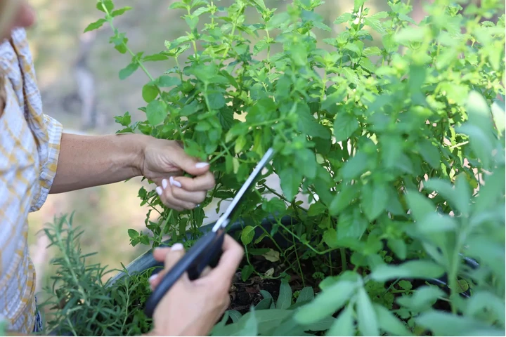 ¡ESTAMOS CONTRATANDO! image 1