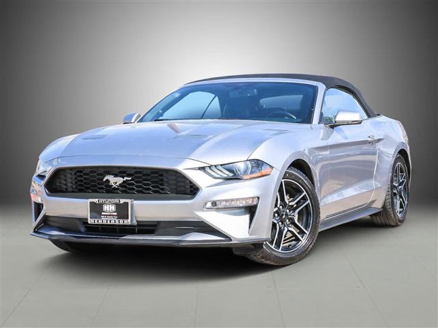 $21990 : Pre-Owned 2020 Ford Mustang E image 1