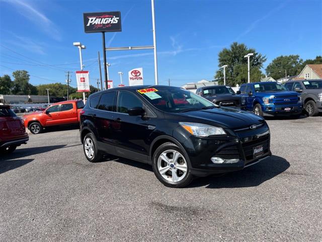 $9990 : 2015 Escape image 1