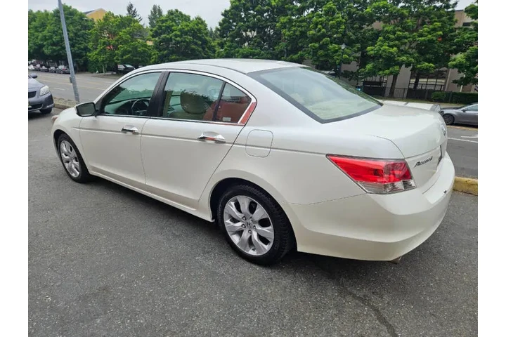 $7999 : 2009 Accord EX-L V6 image 6