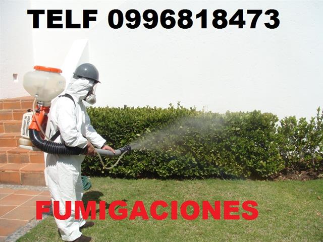 DESINFECCION TELF 0987058464 image 1