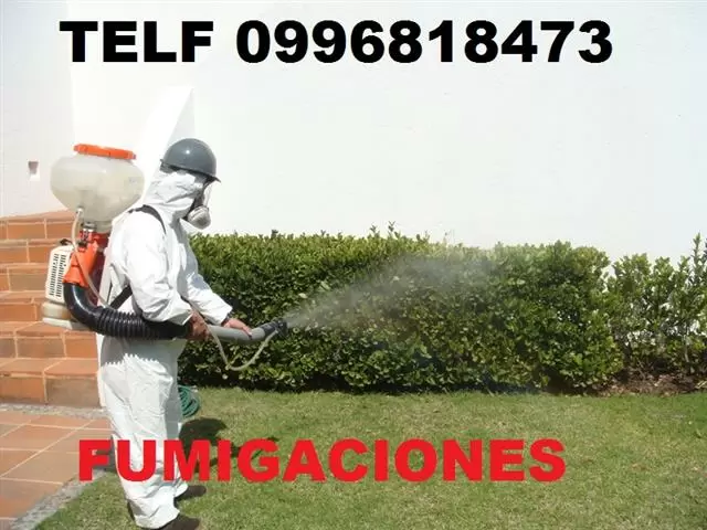 DESINFECCION TELF 0987058464 image 1