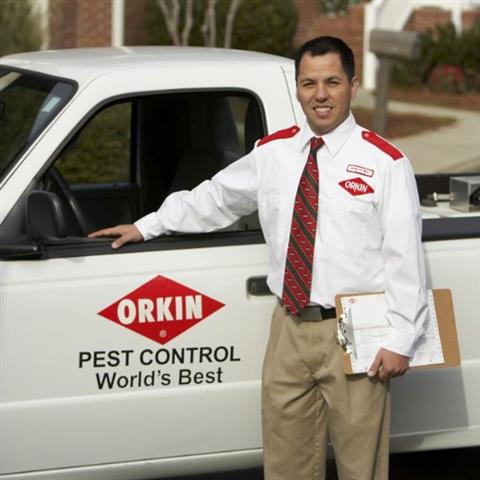 Orkin Pest Control image 6