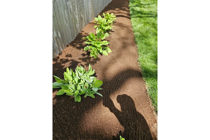 Professional Maintenance image 6