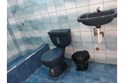 $160 : Rento 1 dormitorio con baño thumbnail