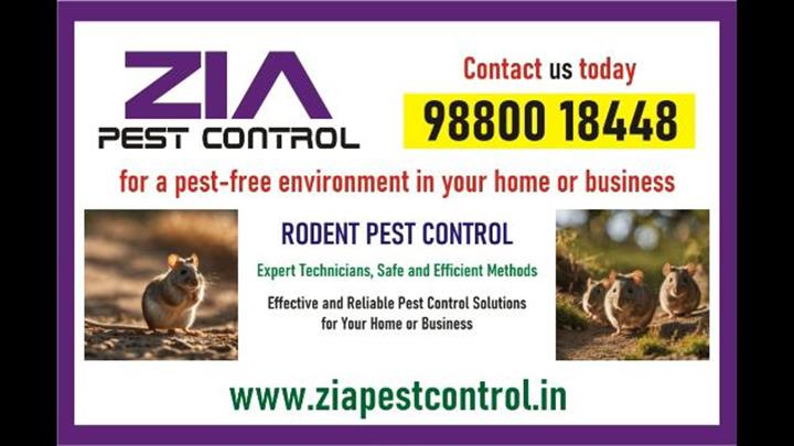 Rodent control services | Serv image 1