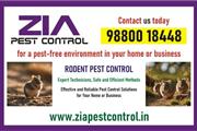 Rodent control services | Serv