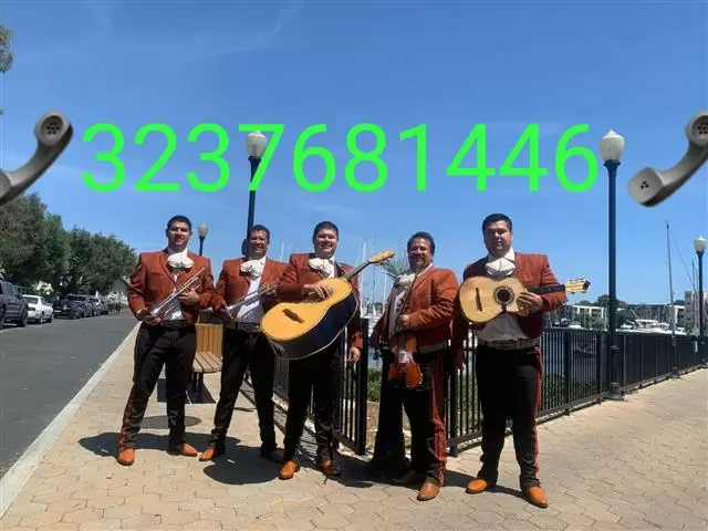 Mariachi real tapatio image 3