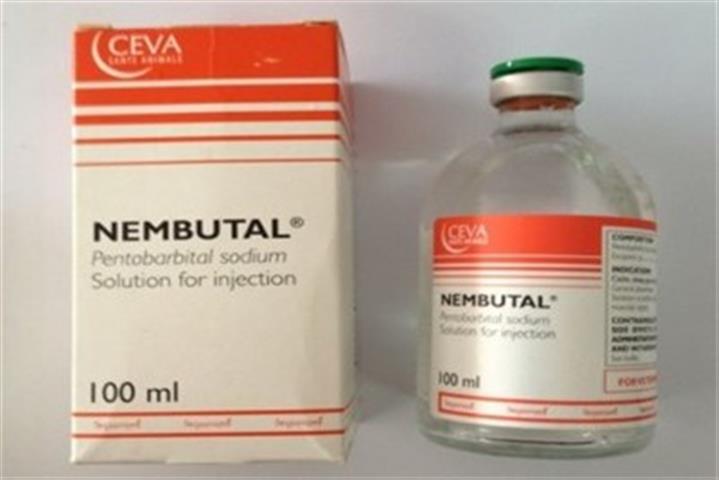 Nembutal for sale image 1