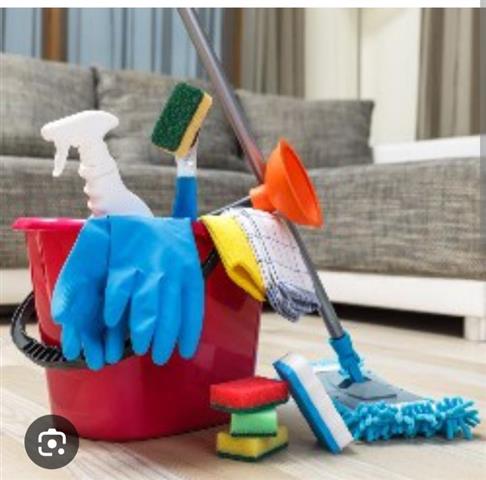 Limpieza del hogar image 1
