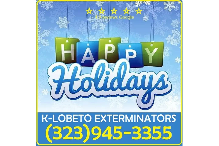 FUMIGACIONES TERMITAS 24/7 L.A image 8