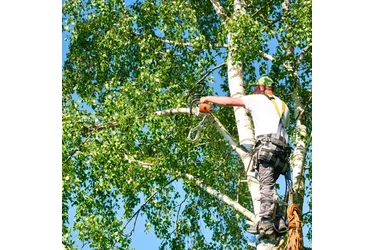 Expertos en Landscaping en Riverside