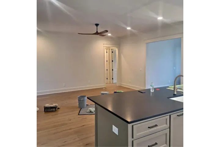 Expert Painting image 1