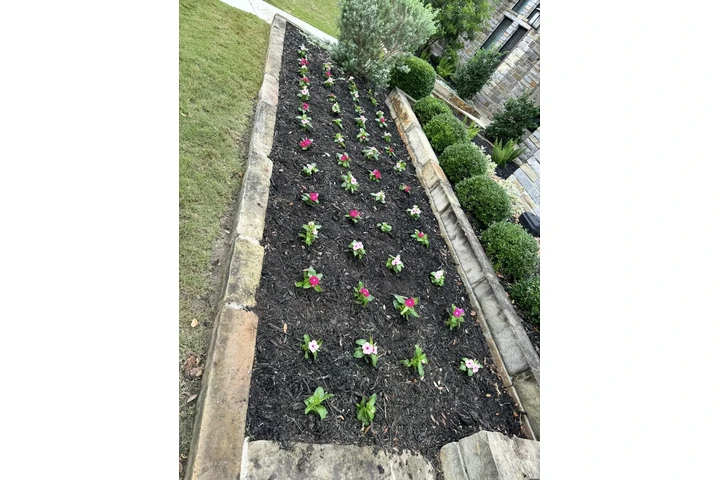 🌿 Lawn Care & Landscaping 🌿 image 7