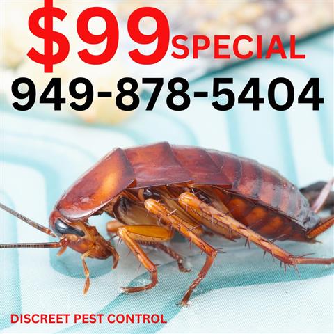 $99 cucarachas Pest Control image 1