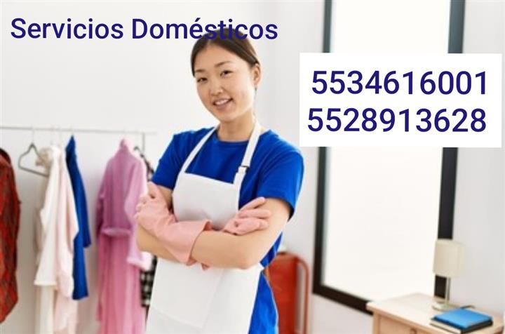 Servicios domésticos naucalpan image 1