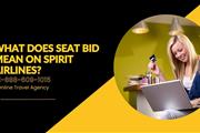 Spirit Airlines Seat Bid en Elizabeth