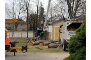 Expert Tree Moving Services en Providence