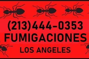 PREVENCION Y CONTROL DE PLAGAS en Los Angeles