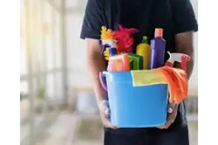 ✨ LIMPIEZA PROFESIONAL ✨ image 1