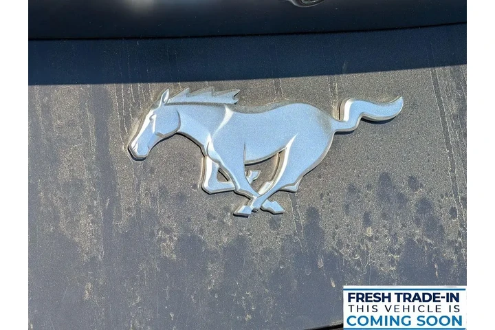 $35069 : Ford Mustang 2024 EcoBoost P image 2