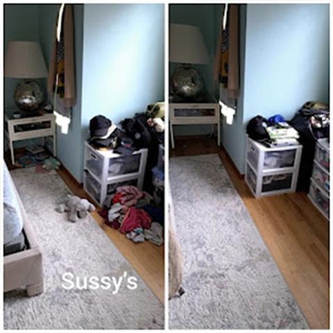 Sussy's House Cleaning image 3