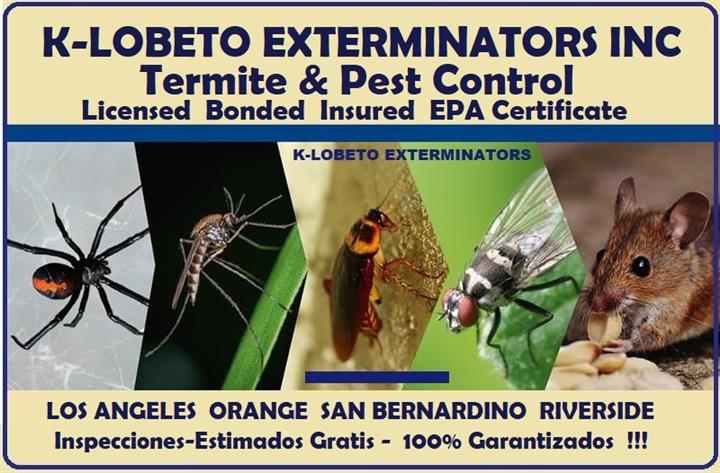 PEST CONTROL LOS ANGELES 24/7. image 8