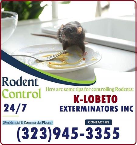 RODENTS CONTROL NEAR ME 24/7 image 4