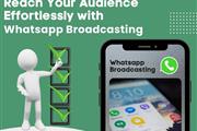 WhatsApp Broadcasting Provider en London