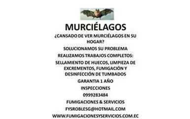 MURCIELAGOS 0999283484 image 1