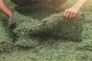 Fake Grass Installation en Australia