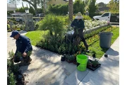JARDINERÍA Y LANDSCAPING en Los Angeles