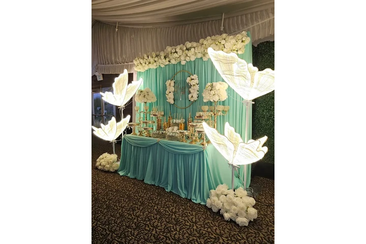 Salon de fiestas Eventos Danny image 9