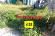 Grasscut 🌿👷🏻🏡 $35 en Los Angeles