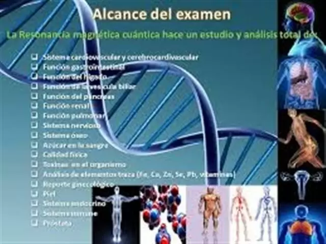 Escaner Biomagnetico Quántico image 7
