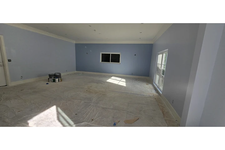 Pintamos casa fuera y adentro image 5