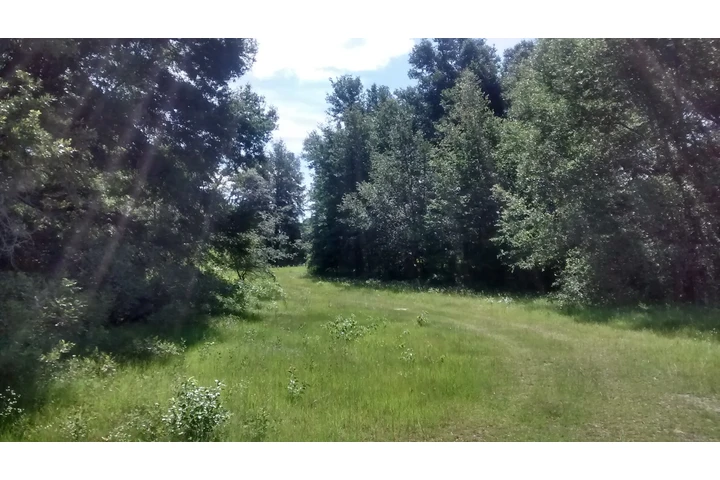 80 acres A10 MINUTOS DE TOD0 image 6