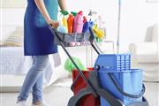 Professional Service Cleaning en Plano