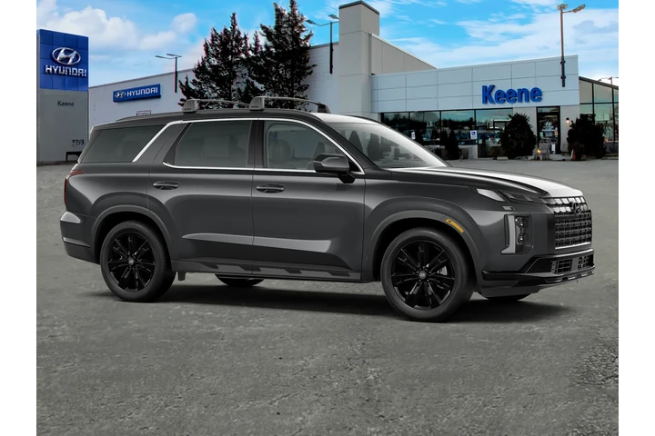 $33995 : Hyundai PALISADE 2023 AWD XR image 10