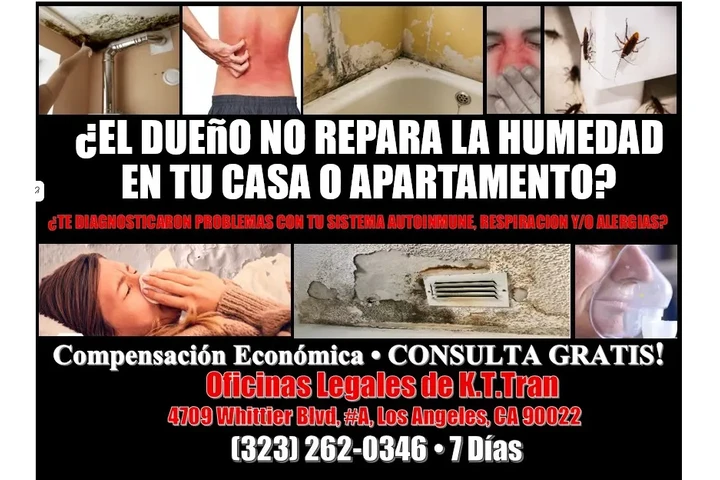 🔥ENFERMASTE? HUMEDAD EN CASA? image 1