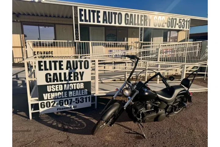 $8950 : 2007 FXSTB NIGHT TRAIN image 2