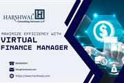 Virtual Finance Manager