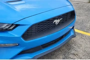 $23995 : Ford Mustang 2023 EcoBoost P thumbnail