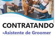 PET GROOMING SPA🐕🐈 en Orange County