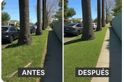 Garden services thumbnail