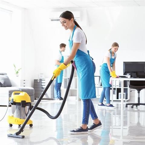 Pristine House Cleaning image 4